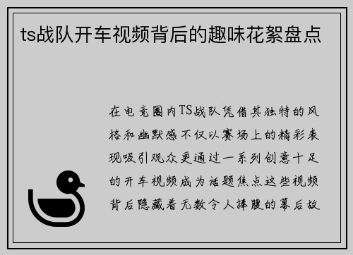 ts战队开车视频背后的趣味花絮盘点