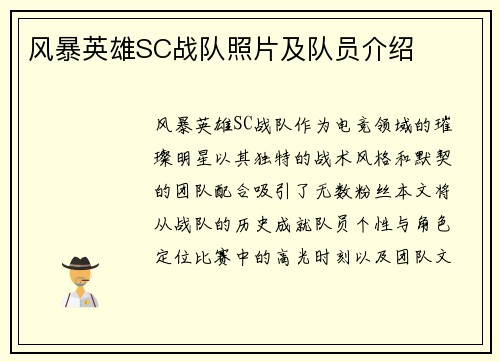 风暴英雄SC战队照片及队员介绍